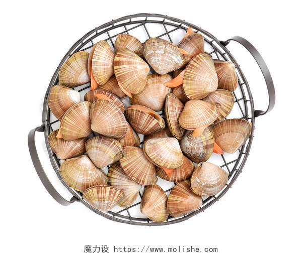 新鲜蛤蜊一筐蛤蜊新鲜海鲜水产贝壳类